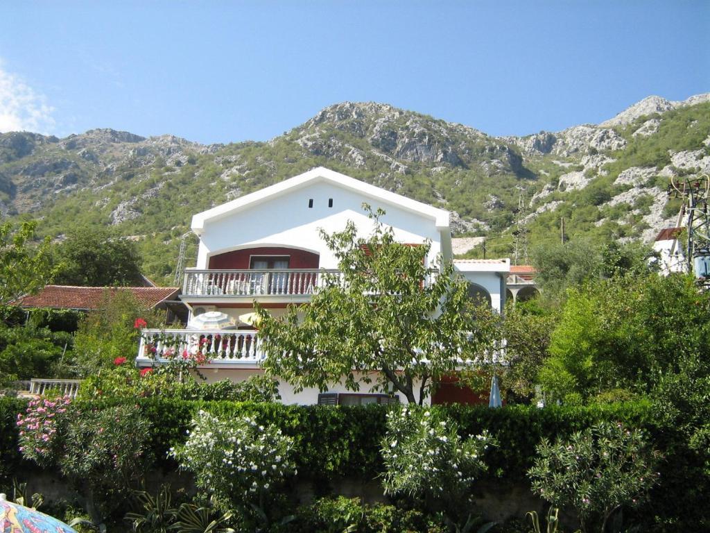 Apartments Biga Donji Morinj Exteriér fotografie